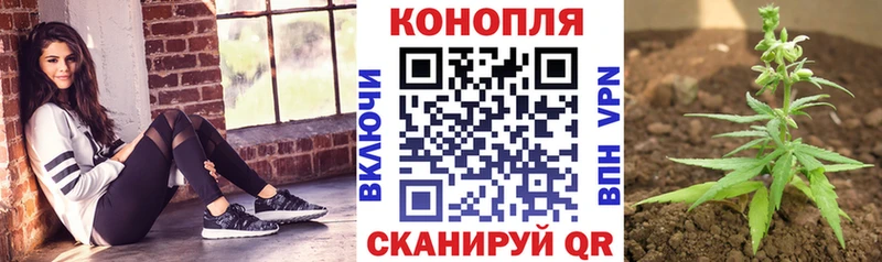 Каннабис LSD WEED  где можно купить   Сурск 